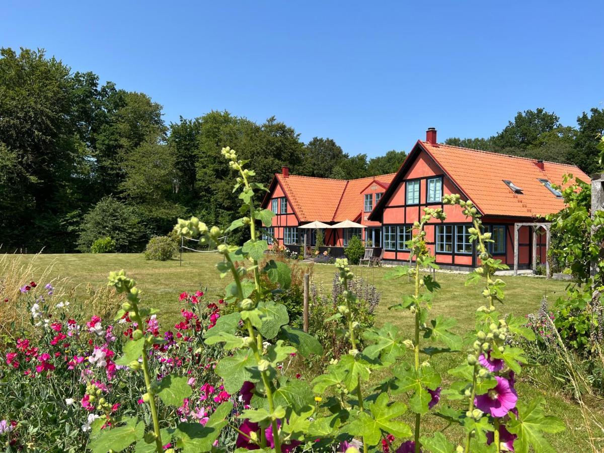Villa Hasselbacken Gärsnäs المظهر الخارجي الصورة