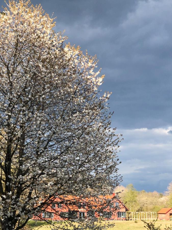 Villa Hasselbacken Gärsnäs المظهر الخارجي الصورة