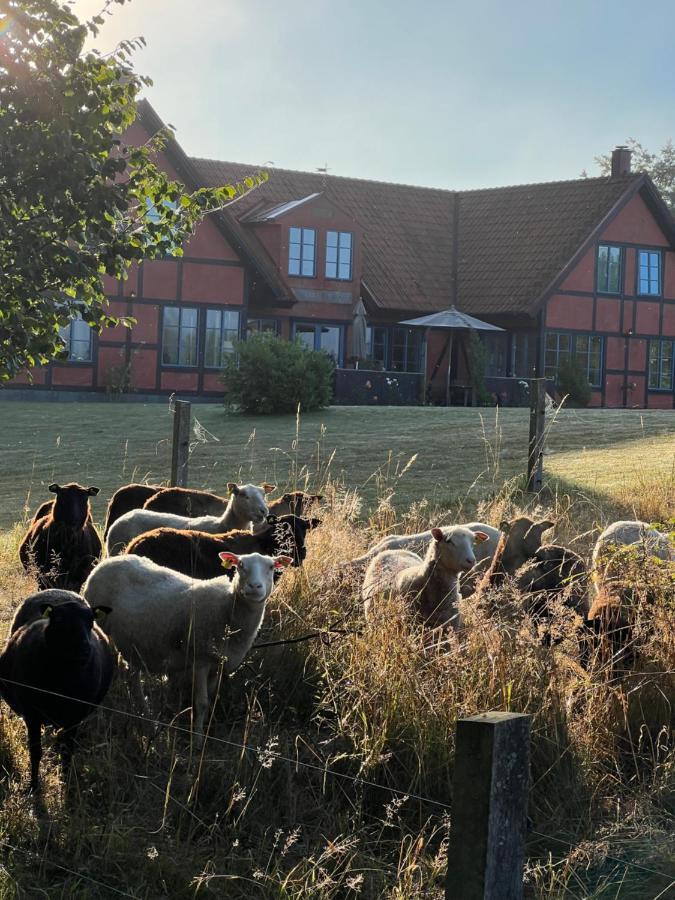 Villa Hasselbacken Gärsnäs المظهر الخارجي الصورة
